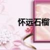 懷遠(yuǎn)石榴節(jié)（關(guān)于懷遠(yuǎn)石榴節(jié)介紹）