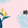 峭削（關(guān)于峭削簡介）