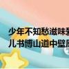 少年不知愁滋味愛上層樓為賦新詞強說愁是什么意思（丑奴兒書博山道中壁原文內容及翻譯）