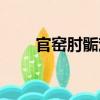 官窯肘骺戲（關(guān)于官窯肘骺戲介紹）