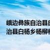 峨邊彝族自治縣白楊鄉(xiāng)楊柳村志愿服務(wù)隊(duì)（關(guān)于峨邊彝族自治縣白楊鄉(xiāng)楊柳村志愿服務(wù)隊(duì)簡介）