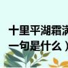 十里平湖霜滿天寸寸青絲愁華年什么意思（下一句是什么）