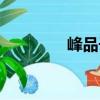 峰品子（關(guān)于峰品子簡介）