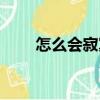 怎么會寂寞（關(guān)于怎么會寂寞介紹）