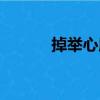掉舉心所（關于掉舉心所簡介）