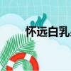 懷遠(yuǎn)白乳泉（關(guān)于懷遠(yuǎn)白乳泉介紹）