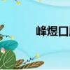 峰煜口腔（關(guān)于峰煜口腔簡介）