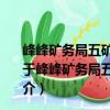 峰峰礦務(wù)局五礦水文工程地質(zhì)條件及帶壓開采綜合研究（關(guān)于峰峰礦務(wù)局五礦水文工程地質(zhì)條件及帶壓開采綜合研究簡介）