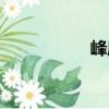 峰度（關(guān)于峰度簡(jiǎn)介）