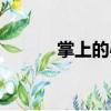 掌上的心（關(guān)于掌上的心簡(jiǎn)介）