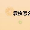 袁枚怎么讀（袁枚的讀音和介紹）