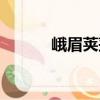 峨眉莢蒾（關于峨眉莢蒾簡介）
