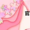 官罪（關(guān)于官罪介紹）