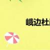 峨邊杜鵑（關(guān)于峨邊杜鵑簡(jiǎn)介）