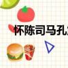 懷陳司馬孔震（關(guān)于懷陳司馬孔震介紹）