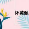 懷黃佩紫（關于懷黃佩紫介紹）