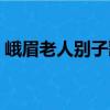 峨眉老人別子歌（關(guān)于峨眉老人別子歌簡介）