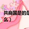共商國是的是是什么意思（共商國是的意思什么）