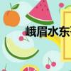 峨眉水東哥（關(guān)于峨眉水東哥簡介）