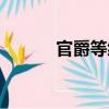 官爵等級(jí)（關(guān)于官爵等級(jí)介紹）