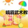 峨眉武術(shù)教程（關(guān)于峨眉武術(shù)教程簡(jiǎn)介）