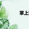 掌上購（關(guān)于掌上購簡介）