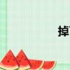 掉了（關于掉了簡介）