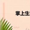 掌上生活（關(guān)于掌上生活簡介）