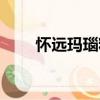 懷遠(yuǎn)瑪瑙籽（關(guān)于懷遠(yuǎn)瑪瑙籽介紹）