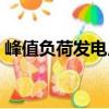 峰值負(fù)荷發(fā)電廠（關(guān)于峰值負(fù)荷發(fā)電廠簡(jiǎn)介）