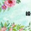 峰位（關(guān)于峰位簡介）