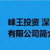 峰王投資 深圳有限公司（關(guān)于峰王投資 深圳有限公司簡介）