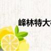 峰林特大橋（關(guān)于峰林特大橋簡(jiǎn)介）