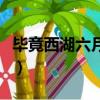 畢竟西湖六月中的詩(shī)意（畢竟西湖六月中詩(shī)意）