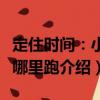 定住時(shí)間：小妞哪里跑（關(guān)于定住時(shí)間：小妞哪里跑介紹）