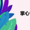 掌心雷（關(guān)于掌心雷簡(jiǎn)介）