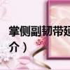 掌側(cè)副韌帶延長術(shù)（關(guān)于掌側(cè)副韌帶延長術(shù)簡介）