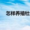 怎樣養(yǎng)殖牡蠣（關(guān)于怎樣養(yǎng)殖牡蠣介紹）