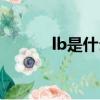 lb是什么重量單位（lb的簡(jiǎn)述）