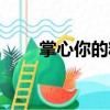 掌心你的糖（關(guān)于掌心你的糖簡介）