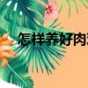 怎樣養(yǎng)好肉雞（關(guān)于怎樣養(yǎng)好肉雞介紹）