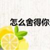 怎么舍得你走（關于怎么舍得你走介紹）