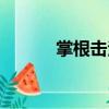 掌根擊法（關(guān)于掌根擊法簡(jiǎn)介）