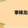 掌棒龍頭（關(guān)于掌棒龍頭簡(jiǎn)介）