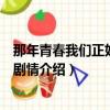 那年青春我們正好大結(jié)局是什么（那年青春我們正好大結(jié)局劇情介紹）