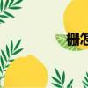柵怎么讀（柵怎么組詞）