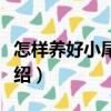 怎樣養(yǎng)好小尾寒羊（關(guān)于怎樣養(yǎng)好小尾寒羊介紹）