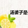 湯婆子是什么意思（什么是湯婆子）