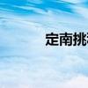 定南挑積（關(guān)于定南挑積介紹）