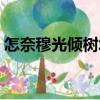 怎奈穆光傾樹城（關(guān)于怎奈穆光傾樹城介紹）